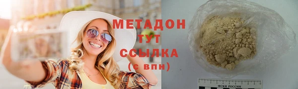 индика Горнозаводск