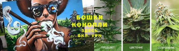 2c-b Вяземский